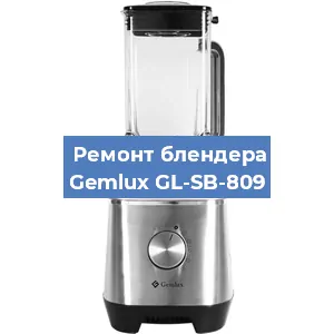 Замена щеток на блендере Gemlux GL-SB-809 в Ростове-на-Дону